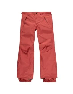 Pantalon De Ski O'neill Charm Pant Burnt Sienna