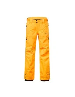 Pantalon De Ski Picture Organic Jr Time Pants Yellow