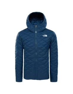 Veste Enfant The North Face Thermoball Hoodie Blue